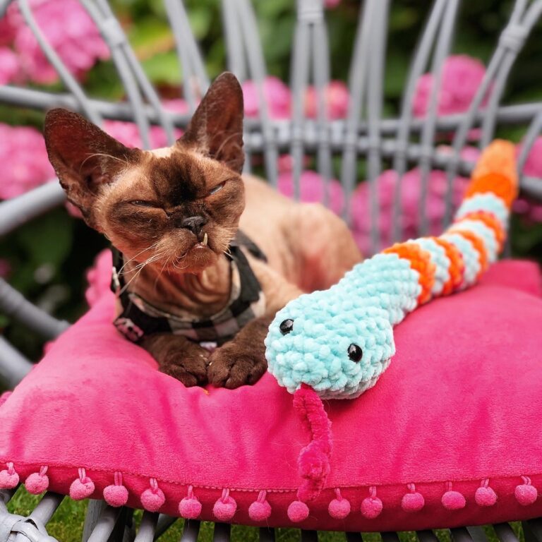 3F767915-D4FE-4BA4-8D35-6F3A23FF7D06