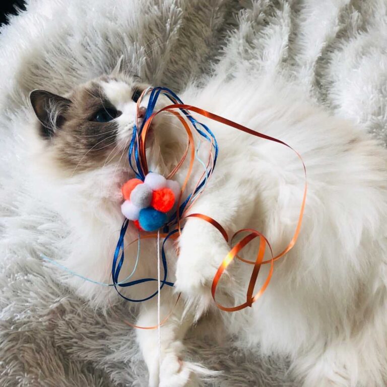 4A9AC091-4E72-4FDE-9885-6374894AB9FB