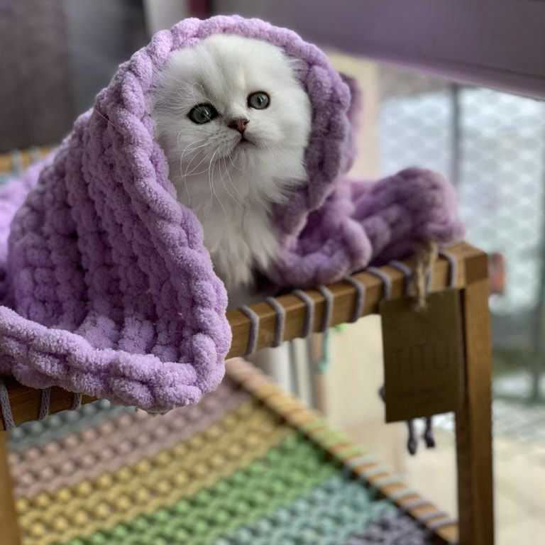 5be74d22-411d-4902-baab-7f096980fe6d