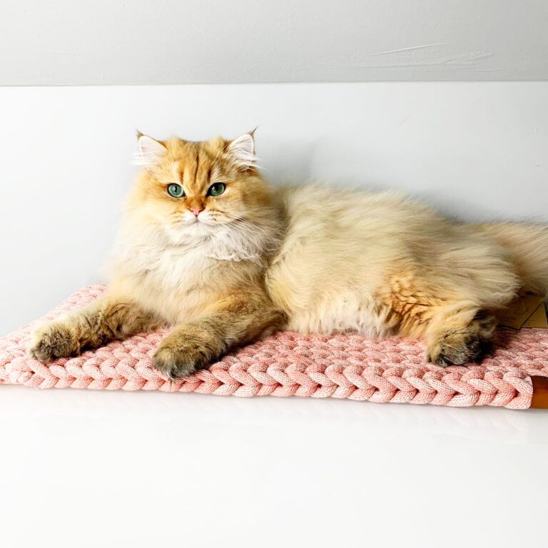 779d69bc-094e-4ead-bed9-b24bf0698ff2