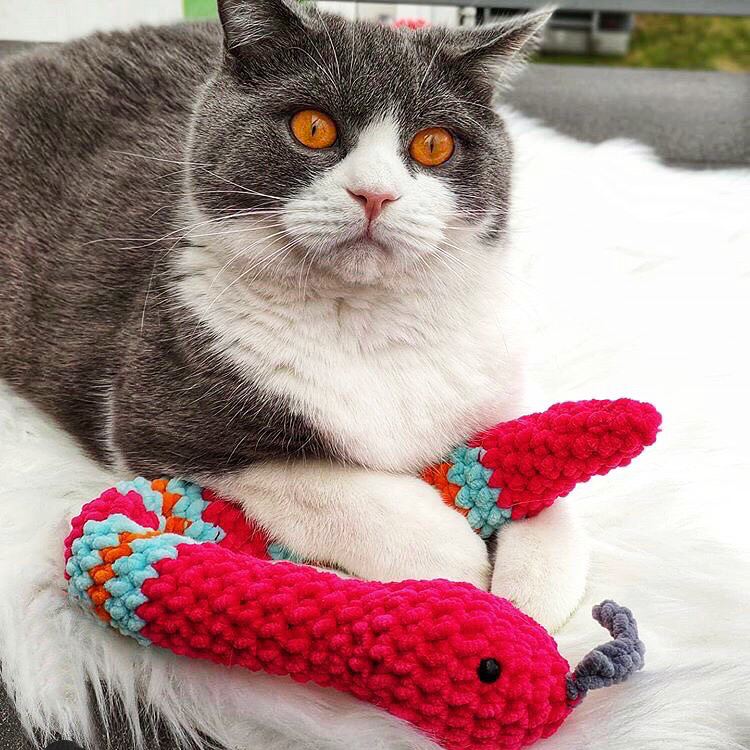 85105BF4-BC74-4039-9833-73E8F1BB0DD9