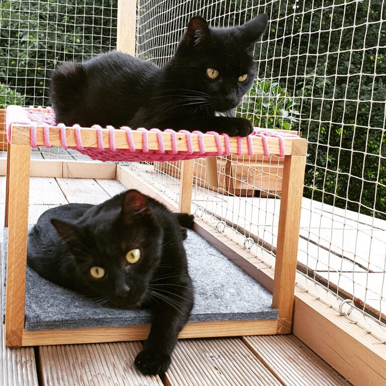 963C5364-7E24-45C5-AB9C-197E692AA4B0