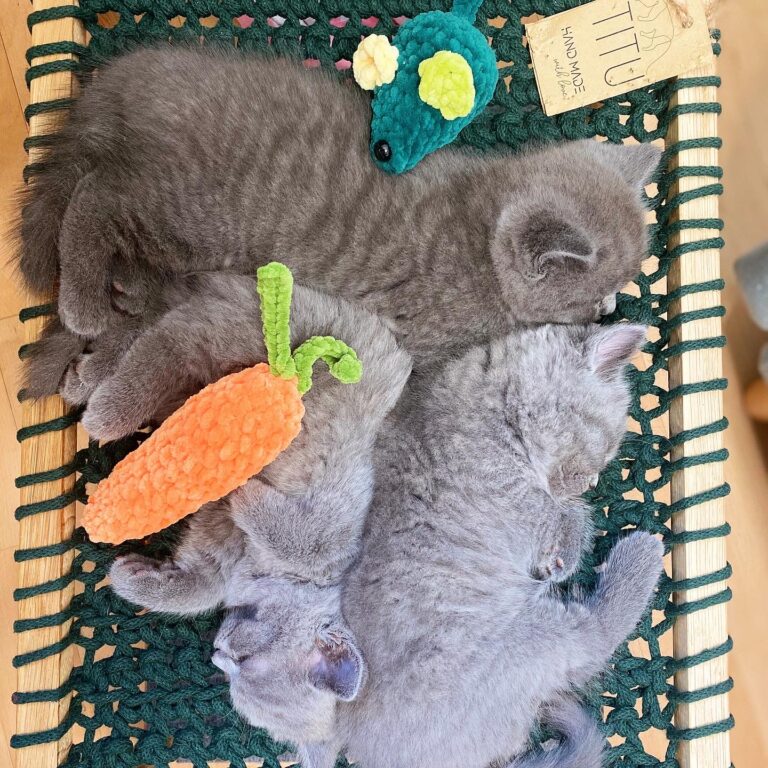 9C721A39-4290-4252-9260-556D02112F57