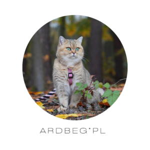 Beige Polaroid Family Photo Collage Square Pillow(1)