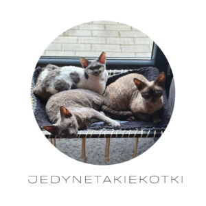 Beige Polaroid Family Photo Collage Square Pillow(11)