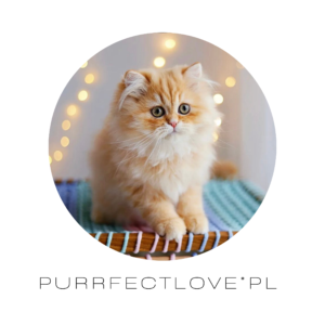 Beige Polaroid Family Photo Collage Square Pillow(2)