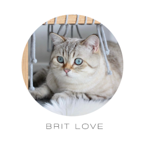 Beige Polaroid Family Photo Collage Square Pillow(4)