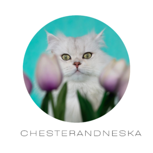 Beige Polaroid Family Photo Collage Square Pillow(6)