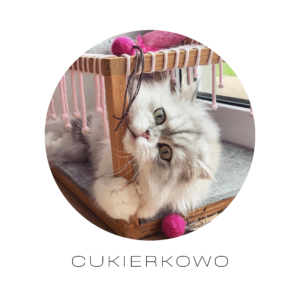 Beige Polaroid Family Photo Collage Square Pillow(9)